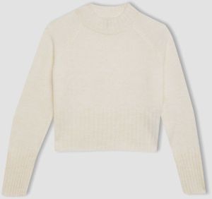 DEFACTO Girls Standard Fit Crew Neck Sweater