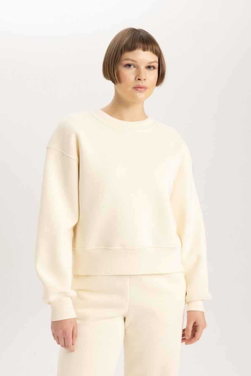 DEFACTO Relax Fit Crew Neck Thick Sweatshirt B8568ax23wn
