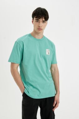 DEFACTO Regular Fit Crew Neck Printed Short Sleeve T-Shirt