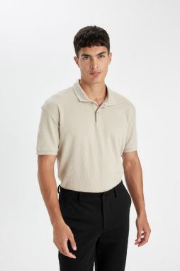 DEFACTO Regular Fit Short Sleeve Polo Shirt