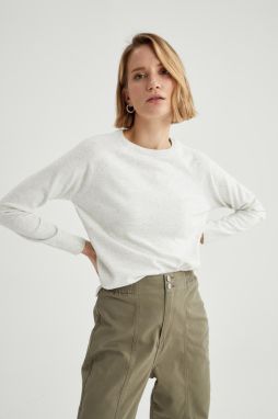 DEFACTO Regular Fit Crew Neck Sweater