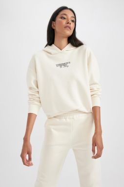 DEFACTO Relax Fit Thick Hooded Sweatshirt
