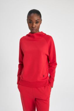 DEFACTO Fit Standard Fit Hooded Scuba Diving Fabric Sweatshirt