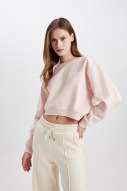 DEFACTO Boxy Fit Crew Neck Printed Thick Fabric Sweatshirt