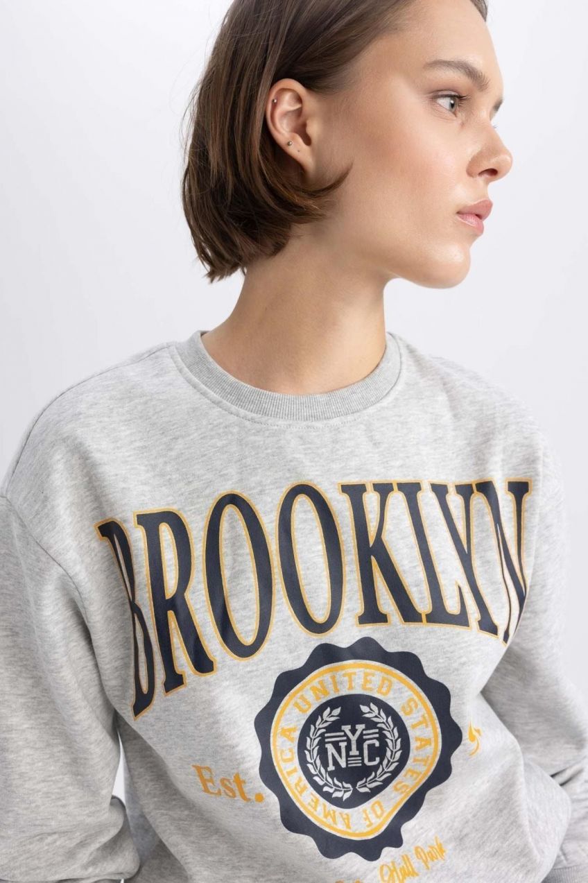 DEFACTO Regular Fit Crew Neck Thick Sweatshirt