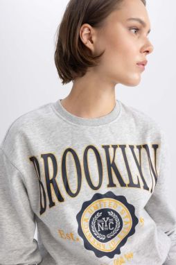 DEFACTO Regular Fit Crew Neck Thick Sweatshirt