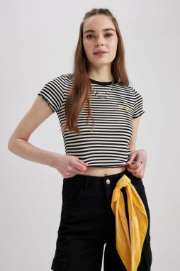 DEFACTO Cool Fitted Embroidered Ribbed Short Sleeve T-Shirt
