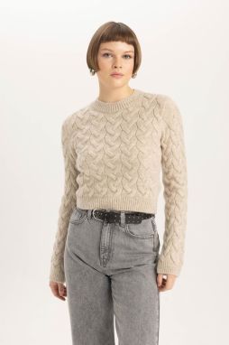 DEFACTO Crop Crew Neck Sweater