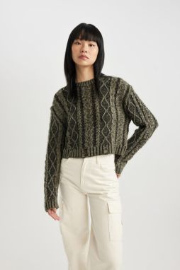 DEFACTO Regular Fit Crew Neck Knitwear Sweater