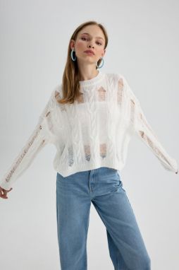 DEFACTO Crew Neck Openwork Sweater