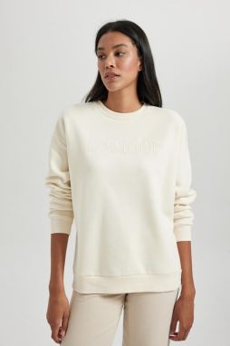 DEFACTO Relax Fit Crew Neck Thick Sweatshirt