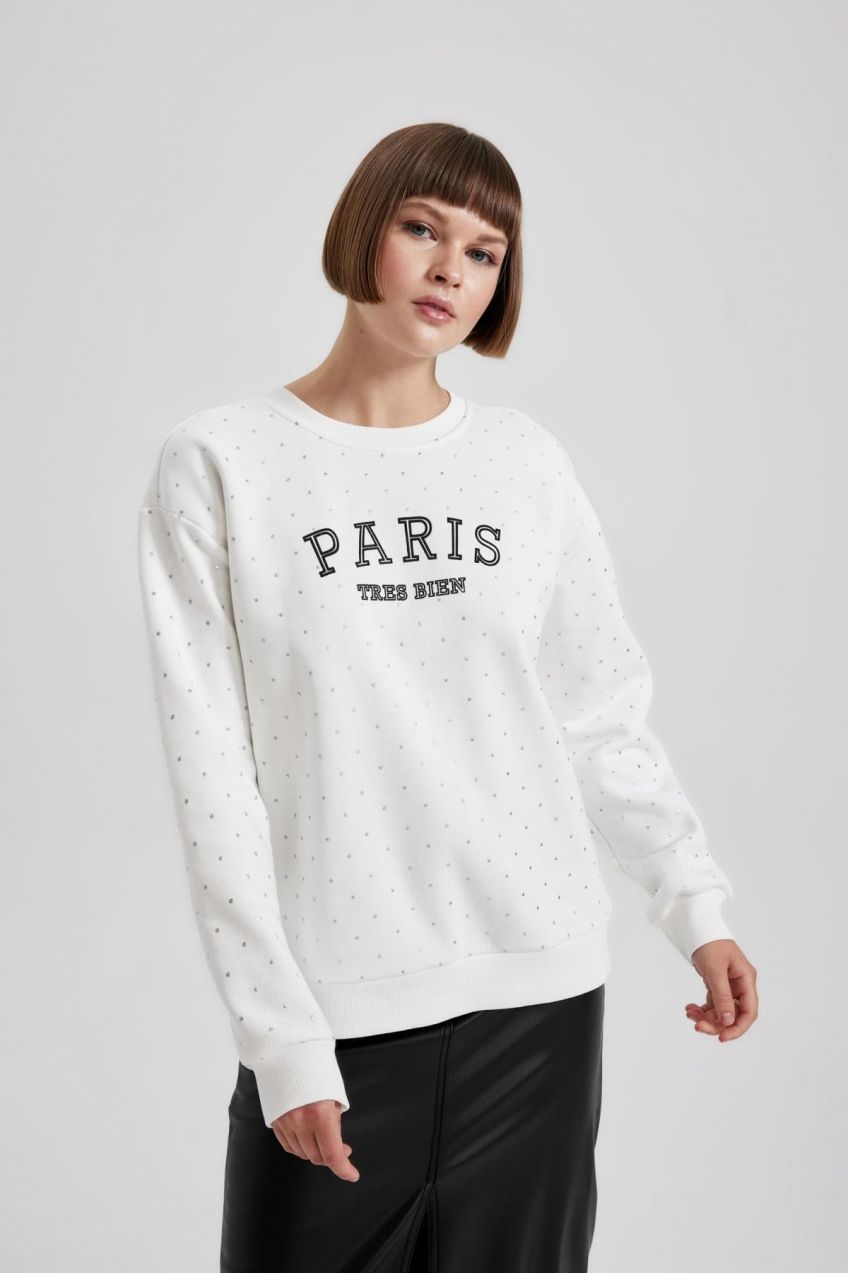 DEFACTO Regular Fit Crew Neck Thick Sweatshirt