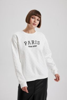 DEFACTO Regular Fit Crew Neck Thick Sweatshirt