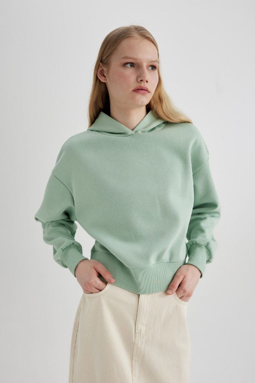DEFACTO Boxy Fit Hooded Thick Sweatshirt