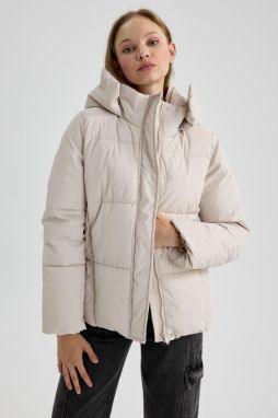 DEFACTO Waterproof Relax Fit Hooded Puffer Jacket