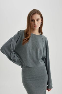 DEFACTO Relax Fit Crew Neck Long Sleeve T-Shirt