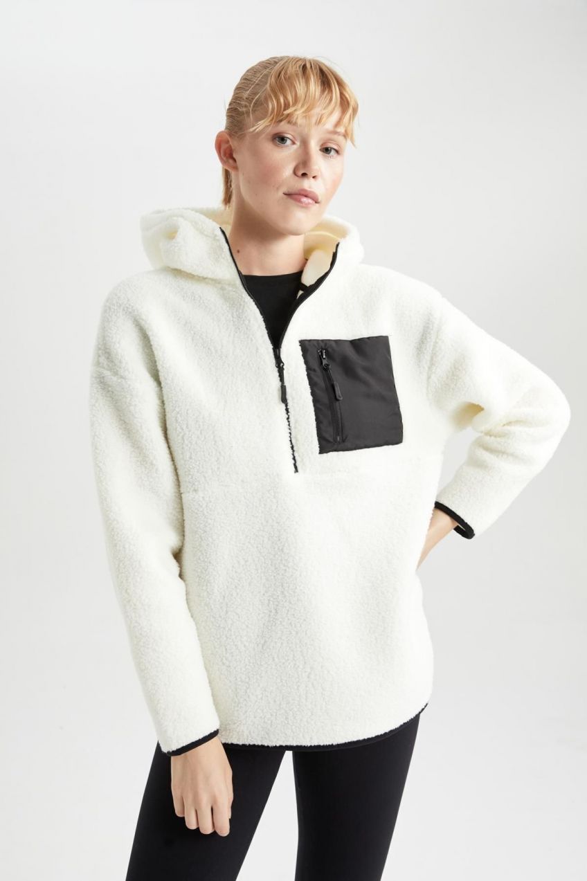 DEFACTO Fit Standard Fit Hooded Fleece Sweatshirt