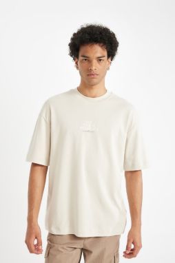 DEFACTO Boxy Fit Crew Neck Printed Heavy Fabric Short Sleeve T-Shirt