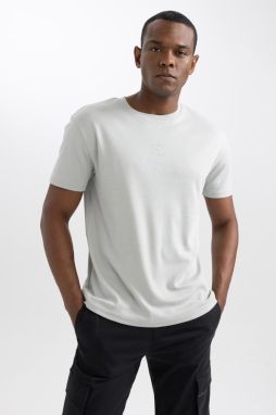 DEFACTO Regular Fit Crew Neck Printed Short Sleeve Heavy Fabric T-Shirt