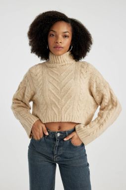 DEFACTO Regular Fit Half Turtleneck Sweater