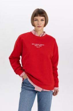 DEFACTO Relax Fit Crew Neck Thick Sweatshirt
