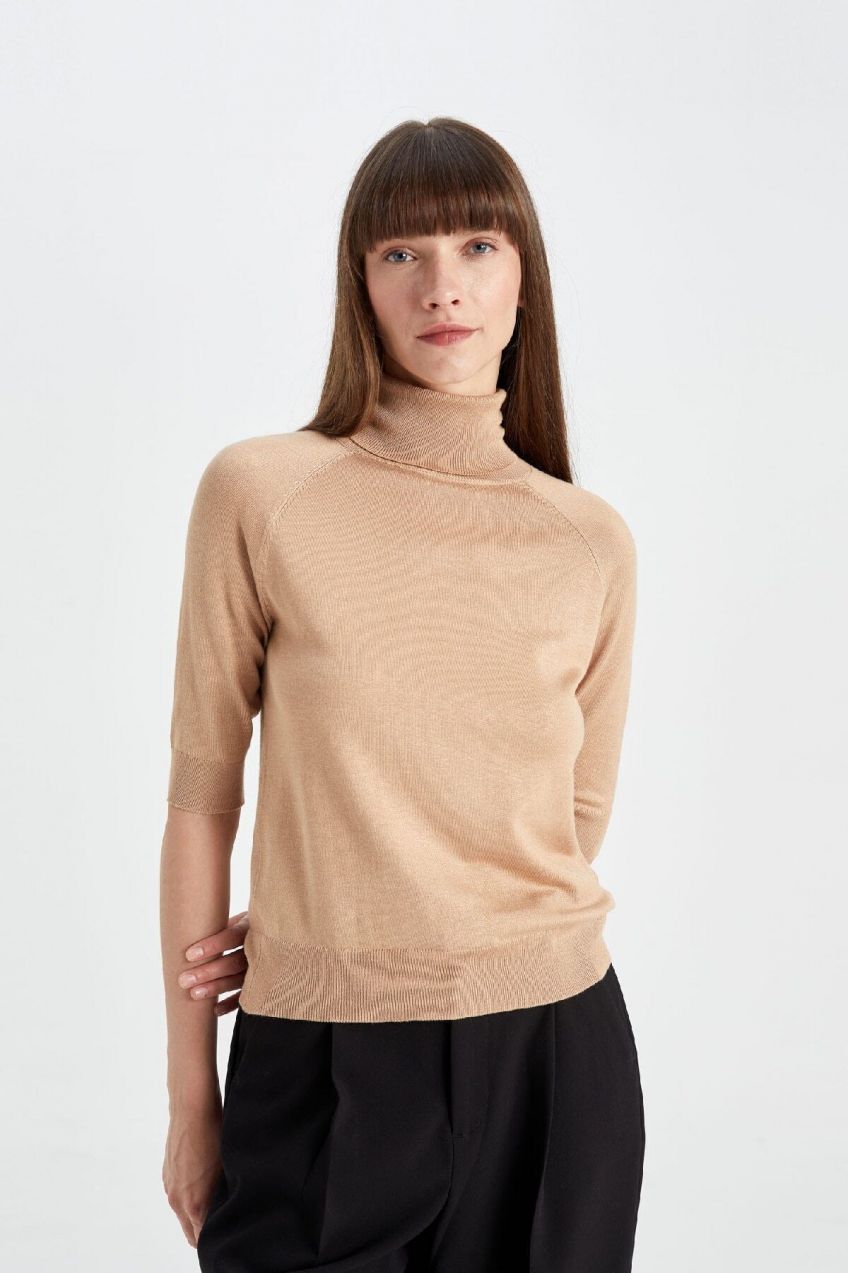 DEFACTO Regular Fit Turtleneck Sweater U8280AZ24AU