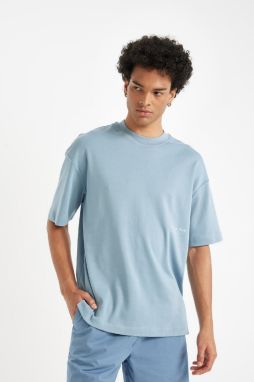 DEFACTO Boxy Fit Crew Neck Printed Heavy Fabric Short Sleeve T-Shirt