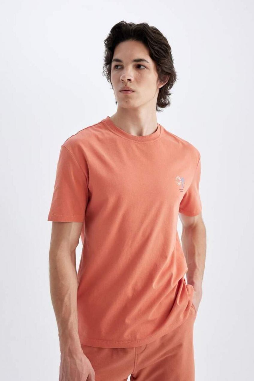 DEFACTO Regular Fit Crew Neck Printed Short Sleeve T-Shirt
