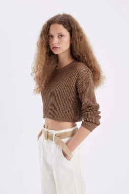 DEFACTO Relax Fit Knit Detail Crop Knitwear Sweater