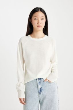 DEFACTO Regular Fit Crew Neck Sweater