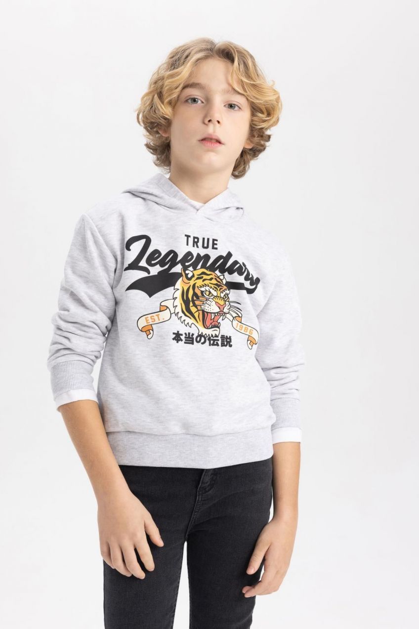 DEFACTO Boy's Hooded Printed Sweatshirt