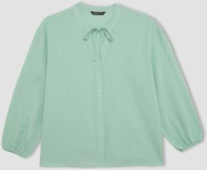 DEFACTO Regular Fit Crew Neck Long Sleeve Blouse