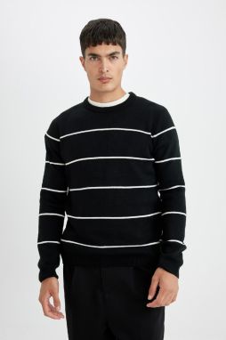DEFACTO Standard Fit Crew Neck Sweater