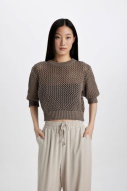 DEFACTO Crew Neck Half Sleeve Crochet Knitted T-Shirt