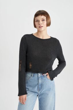 DEFACTO Regular Fit Crew Neck Sweater
