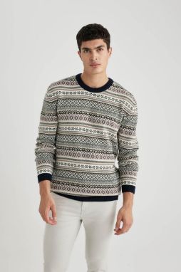 DEFACTO Standard Fit Crew Neck Sweater