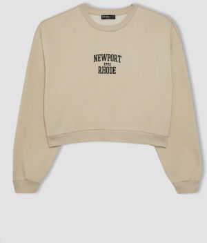 DEFACTO Cool Oversize Fit Crew Neck Thick Sweatshirt