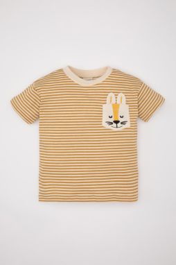 DEFACTO Baby Boy Striped Short Sleeve T-Shirt