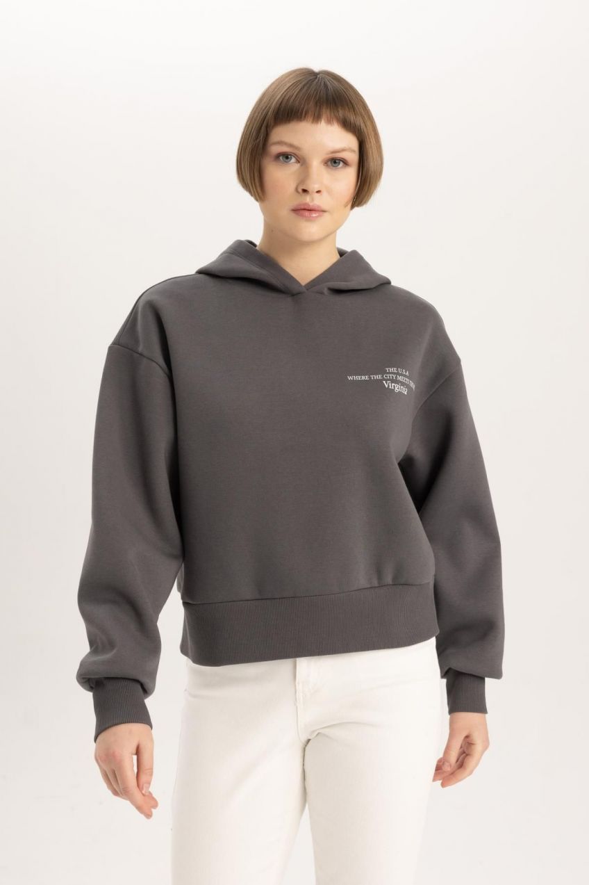 DEFACTO Relax Fit Hooded Thick Sweatshirt