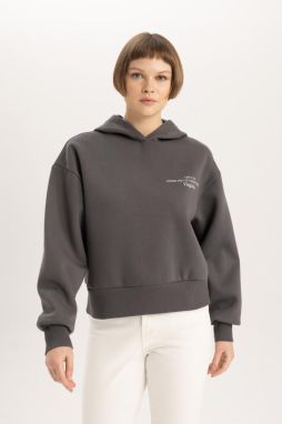 DEFACTO Relax Fit Hooded Thick Sweatshirt