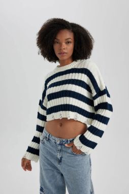 DEFACTO Regular Fit Crew Neck Sweater
