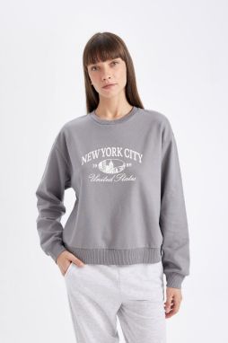 DEFACTO Regular Fit Crew Neck Printed Thin Sweatshirt