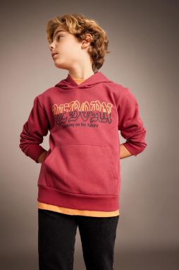 DEFACTO Boy's Printed Hooded Thick Sweatshirt
