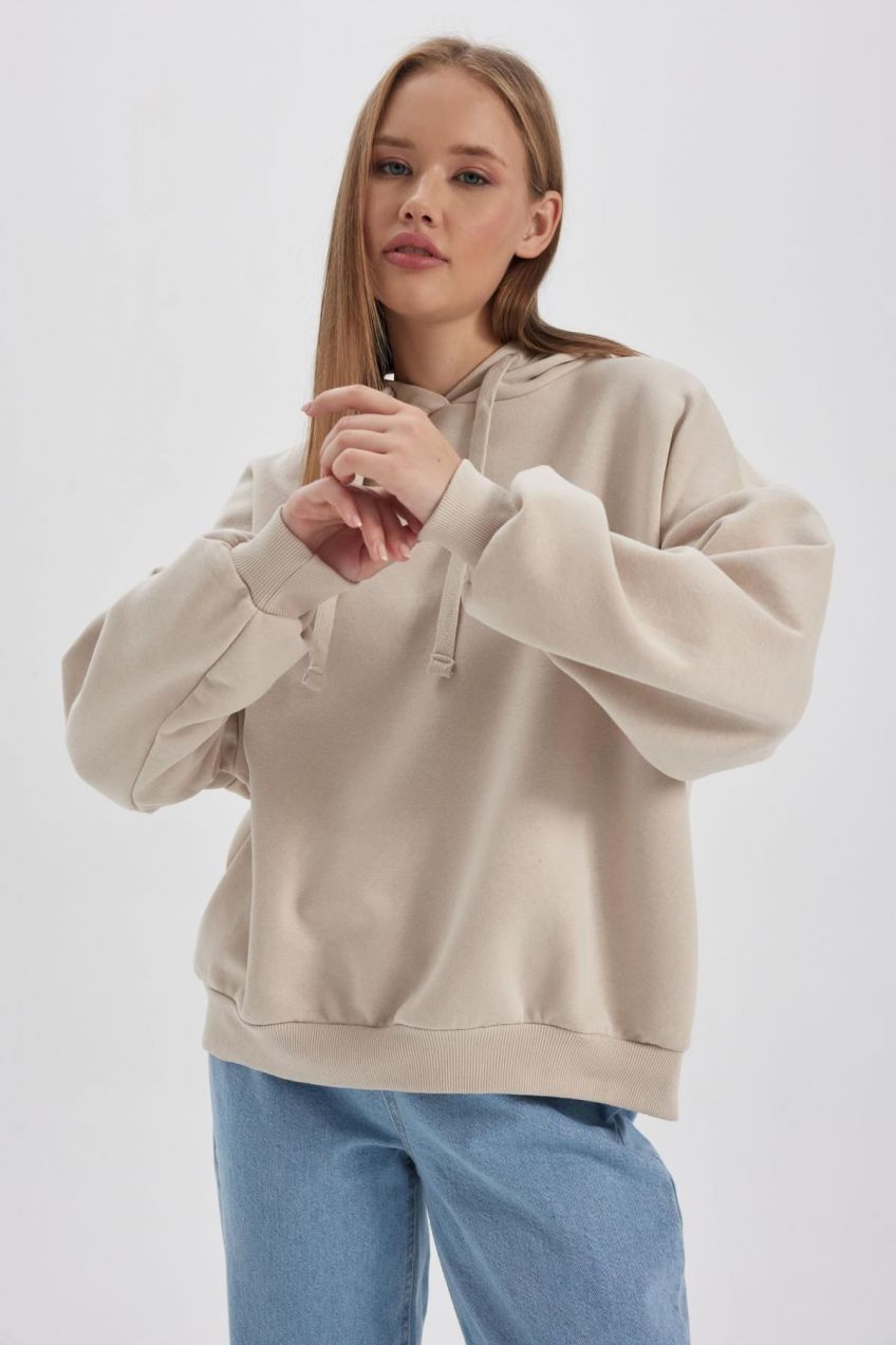 DEFACTO Coool Loose Fit Hooded Thick Sweatshirt