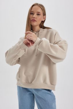 DEFACTO Coool Loose Fit Hooded Thick Sweatshirt