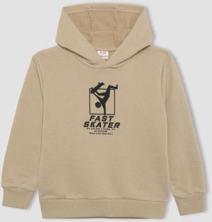 DEFACTO Boy's Printed Hooded Thick Sweatshirt