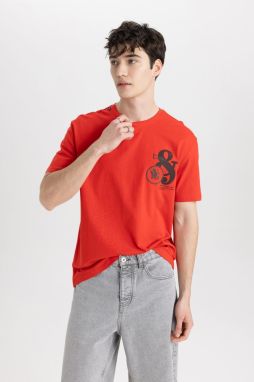 DEFACTO Regular Fit Crew Neck Printed Short Sleeve T-Shirt