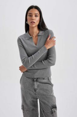 DEFACTO Fitted Polo Collar Ribbed Sweater