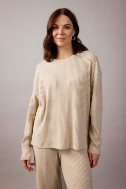 DEFACTO Relax Fit Crew Neck Long Sleeve T-Shirt
