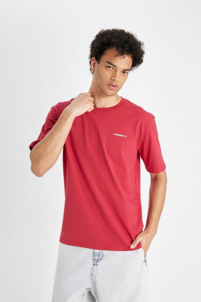 DEFACTO Regular Fit Crew Neck Printed Short Sleeve T-Shirt